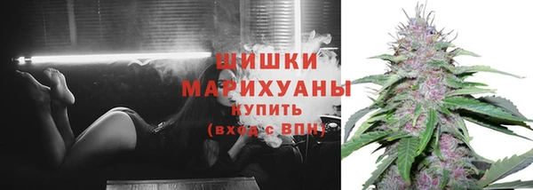 соль ск Гусь-Хрустальный