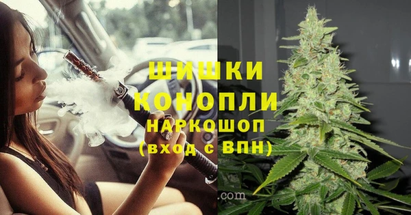 соль ск Гусь-Хрустальный