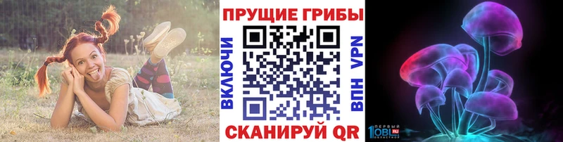купить наркотики цена  Таганрог  Галлюциногенные грибы Cubensis 